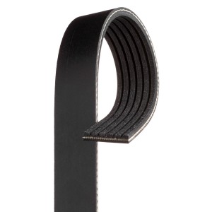 V Ribbed Belt